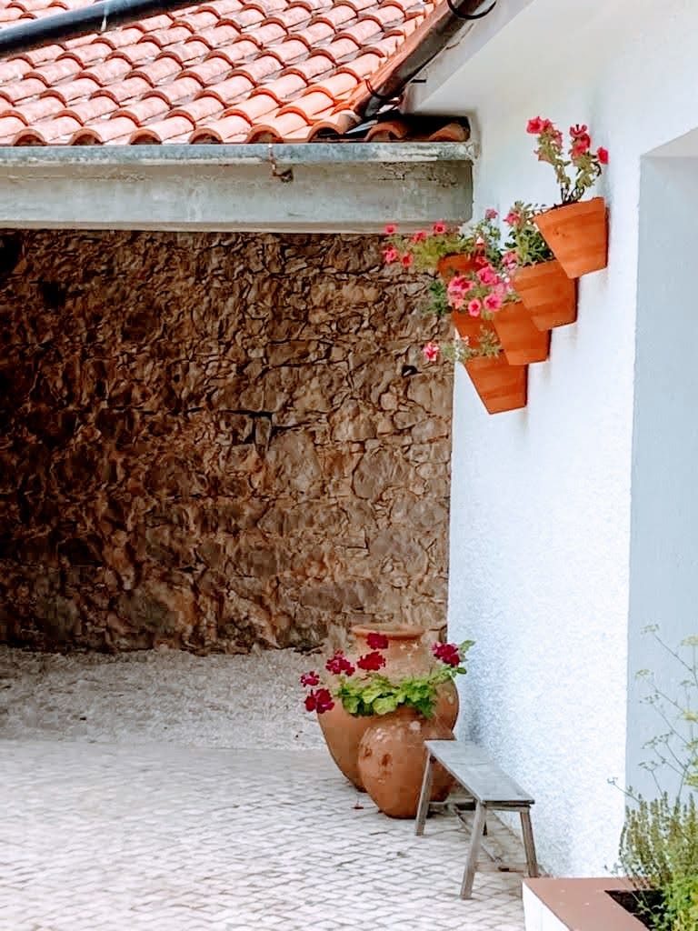 Casa dos Duques pool and garden