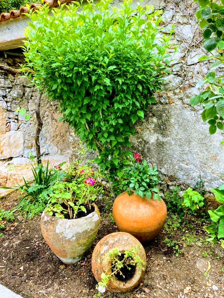 Casa dos Duques pool and garden