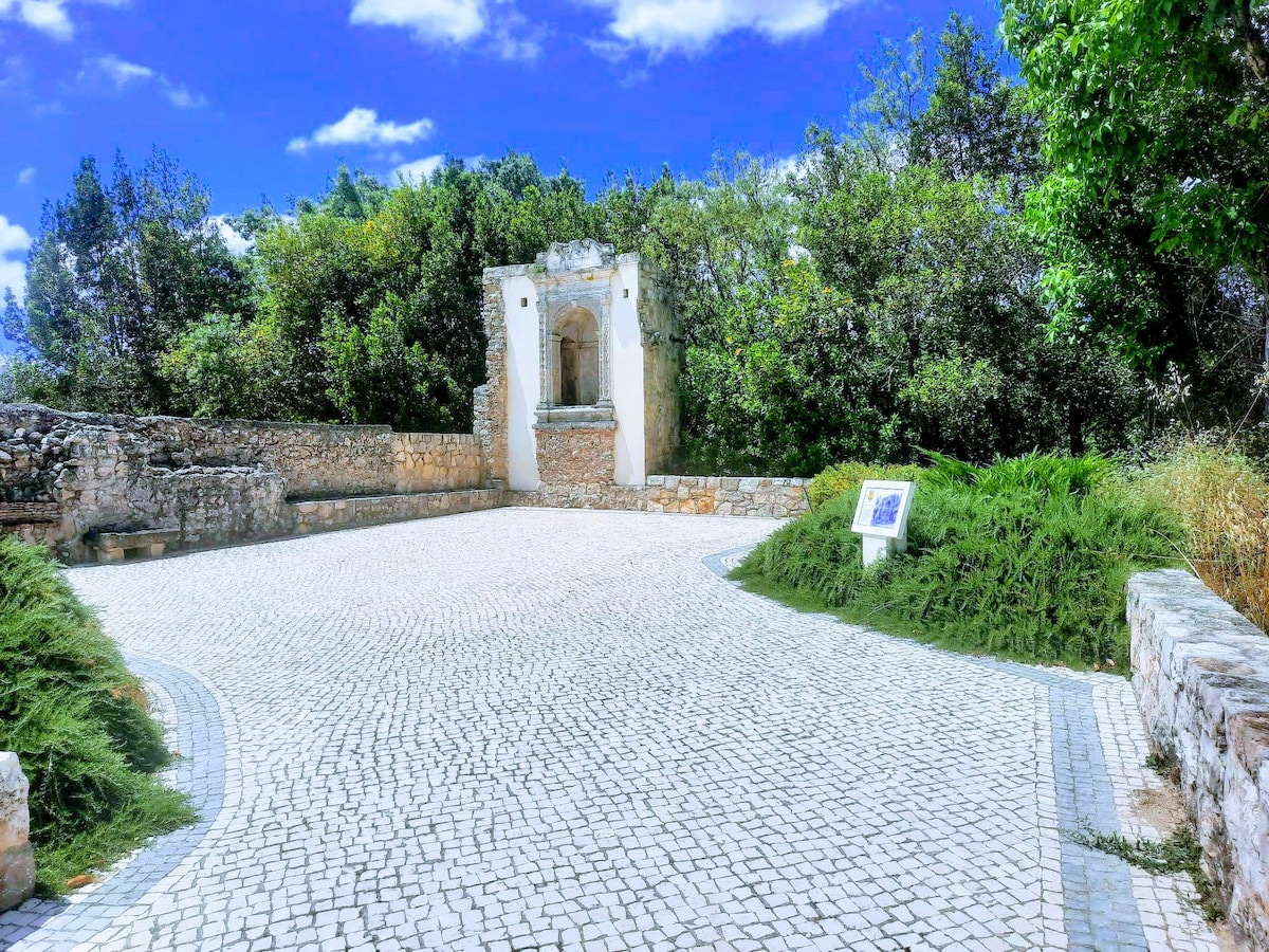Casa dos Duques pool and garden
